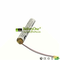 Replacement battery for Sony wi1000x