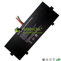 Replacement Battery for EVOO TEV-C-116-1