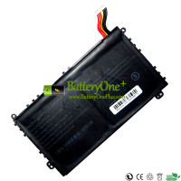 Replacement Battery for PDA 10Buckles-9Lines PN1308