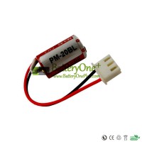 Replacement Battery for PLC ER3 3.6V F940 PM-20BL